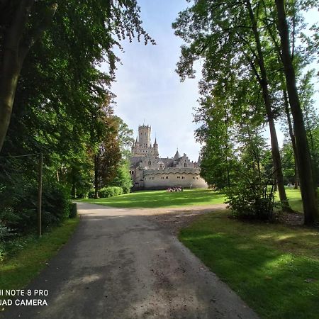 Ferienwohnung Colin Im Schoenen Weserbergland Naehe Freizeitpark Salzhemmendorf Экстерьер фото